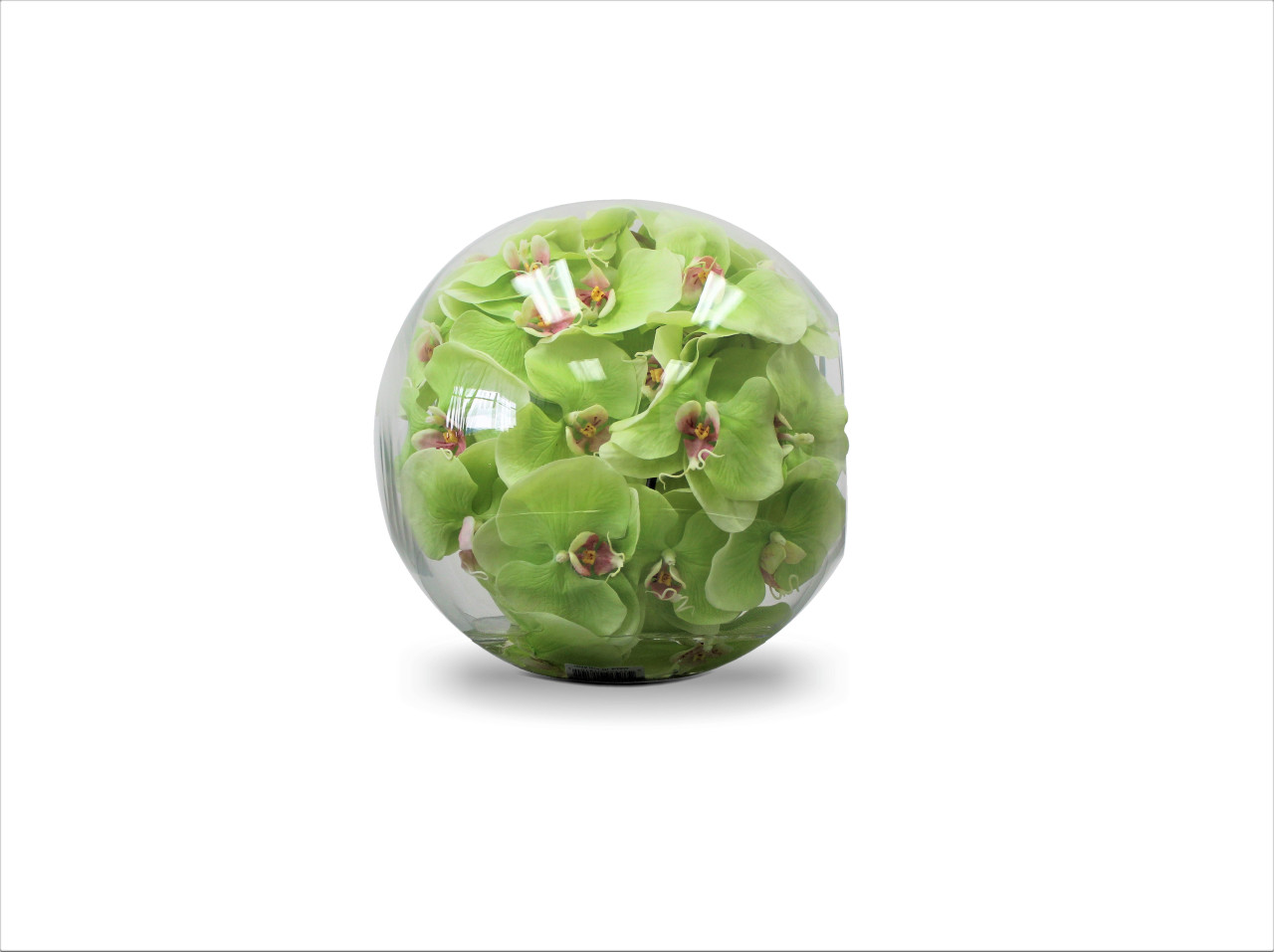 12″ Crosswinds vase with green orchids