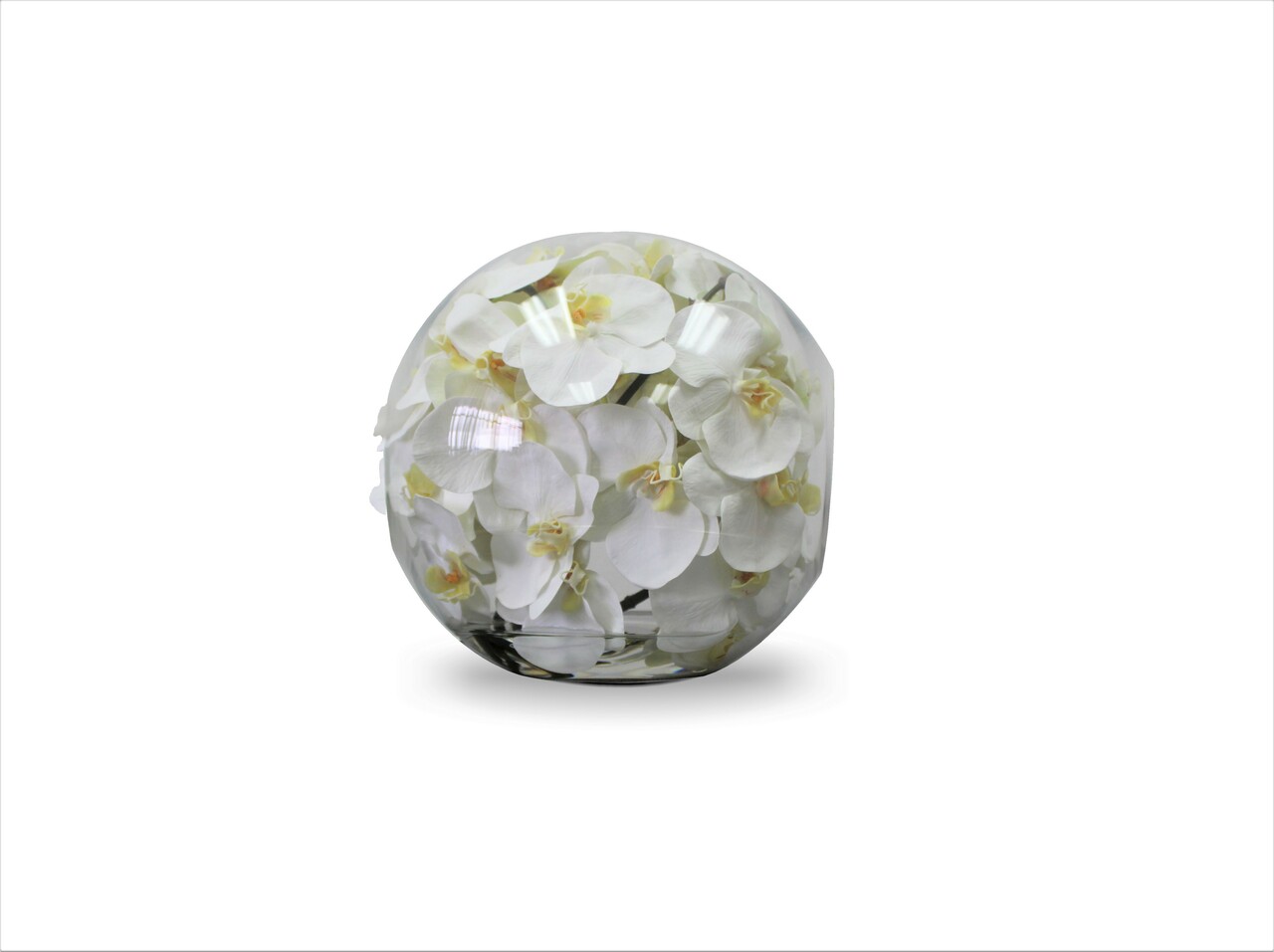 12″ Crosswinds vase with white orchids