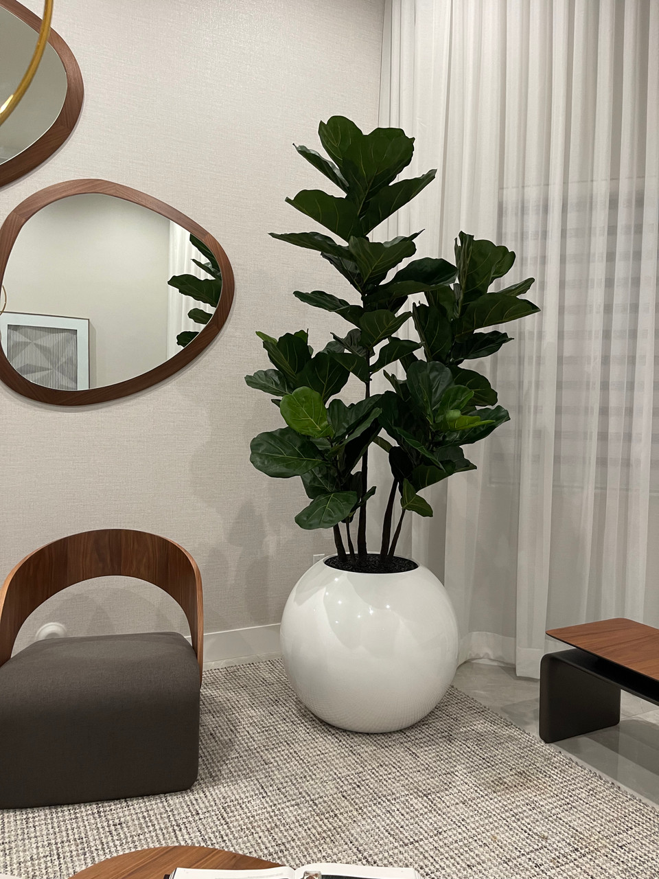 30″ Globe Planter with Fiddle Tree
