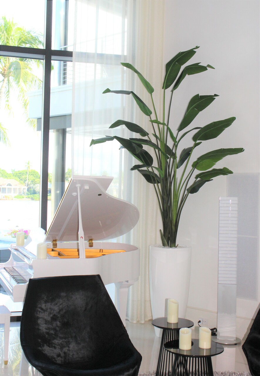 9 ft Bird of Paradise with XL Dax  Planter