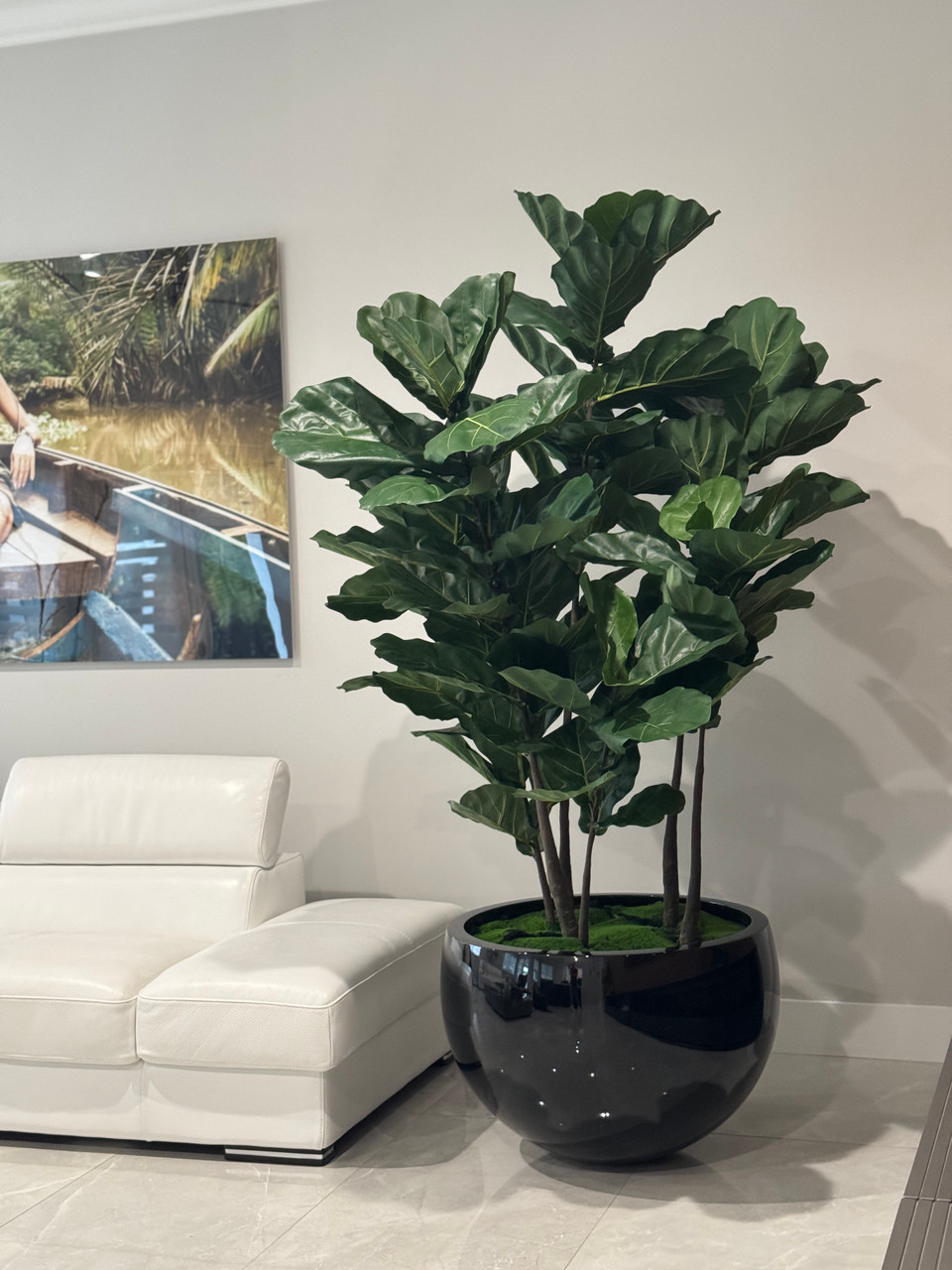 Black Terragona Planter with Fiddle Leaf Tree