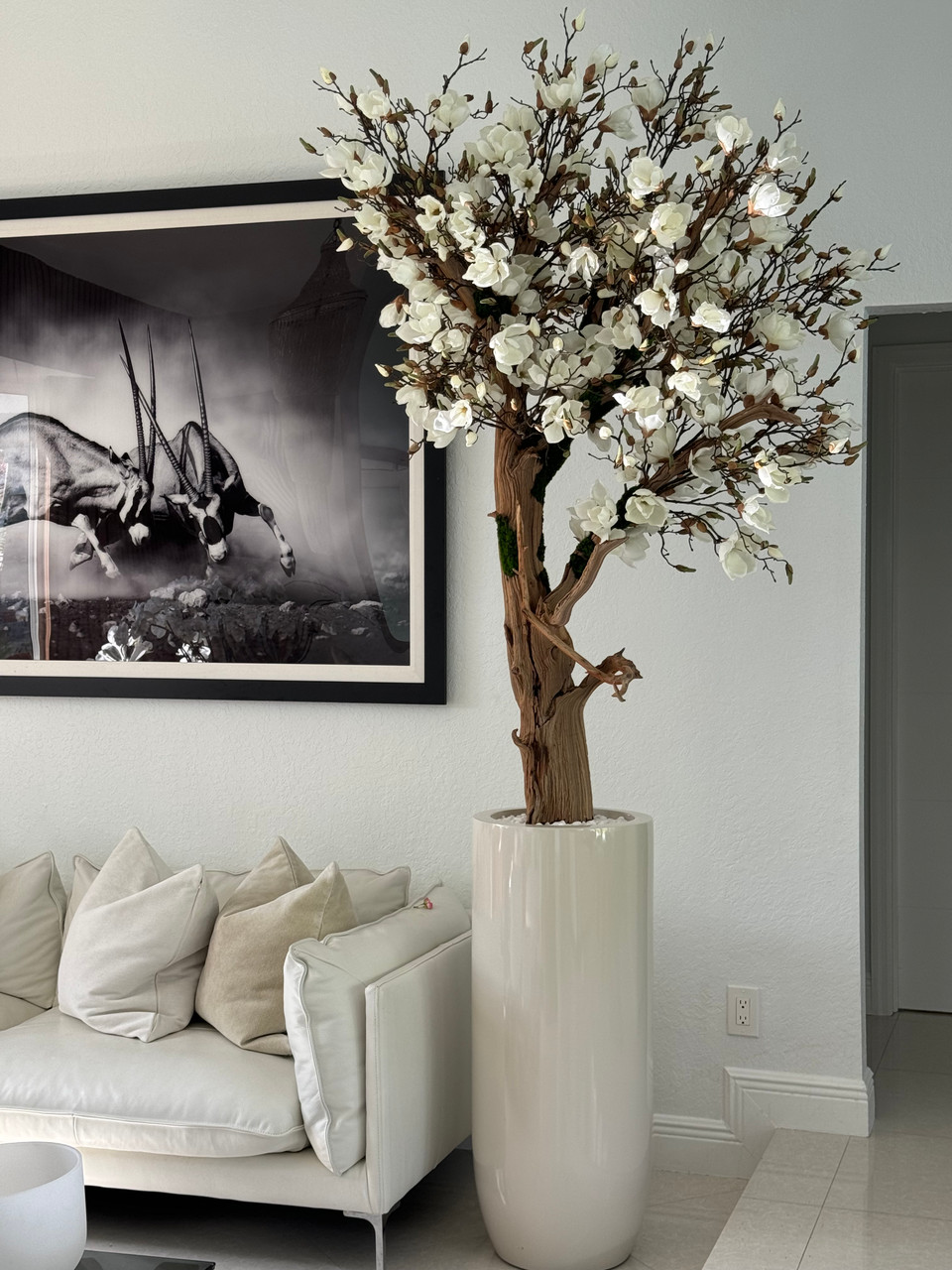Glossy Beige St. Tropez Planter with Custom Made Magnolia Tree