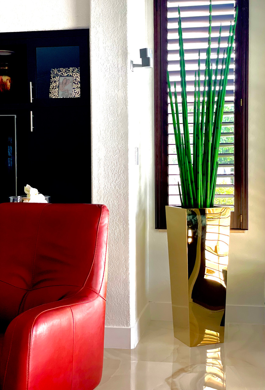 Gold Cube Planter with Snake Grass