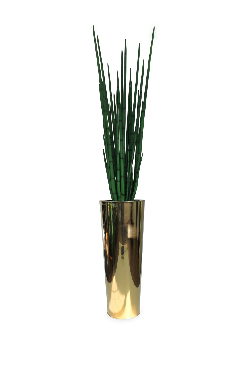 Pure Gold Stainless Steel Tapered Large Cone with Large Snake Grass Plant 1