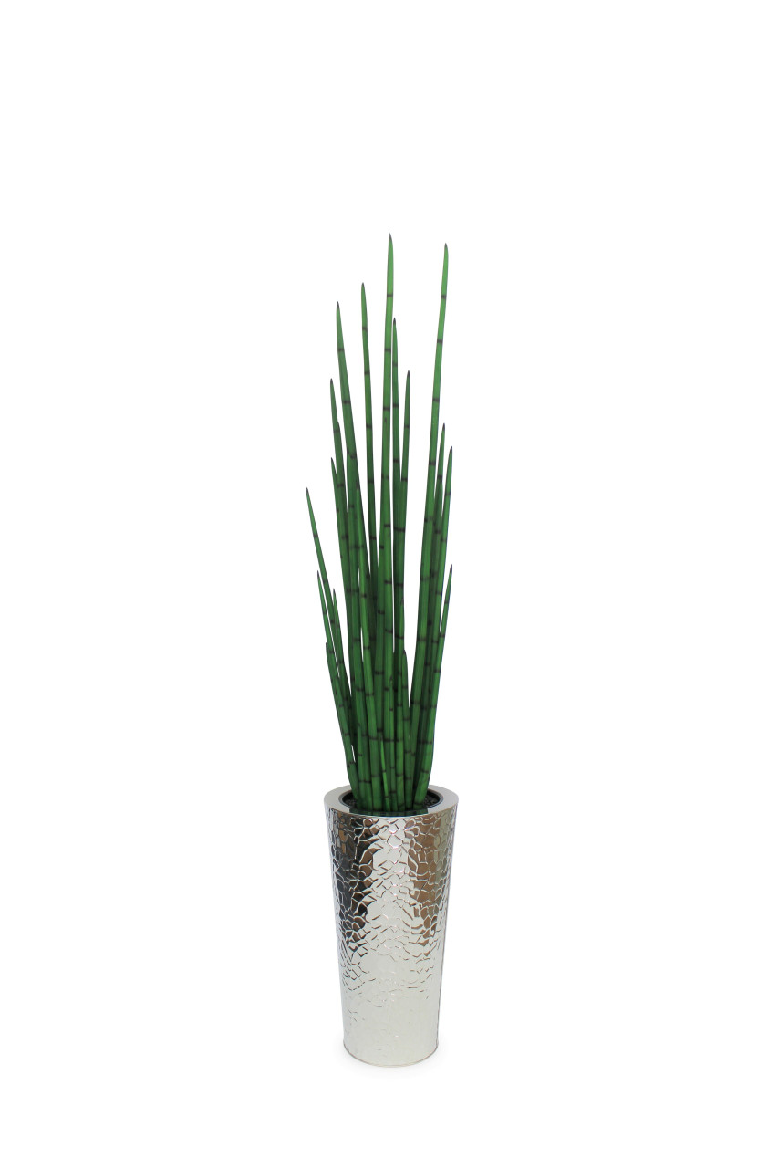 Silver Hammered Stainless Steel Tapered Cone with Large Snake Grass Plant