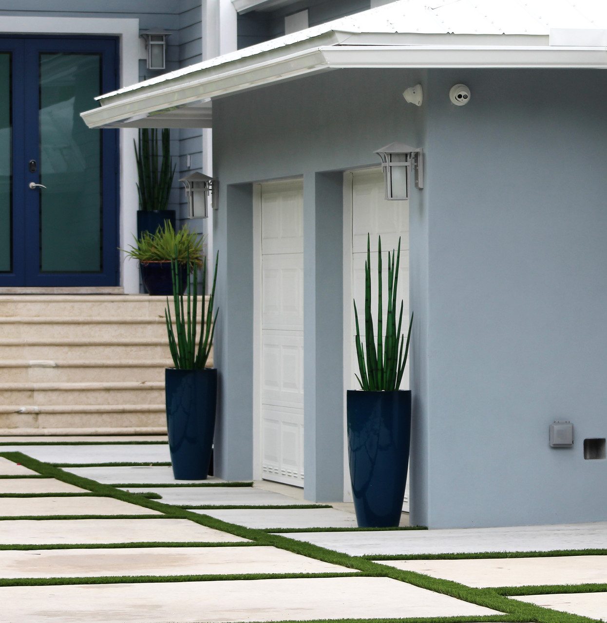 Snake grass (4 ft) with Dax L planter in dark teal