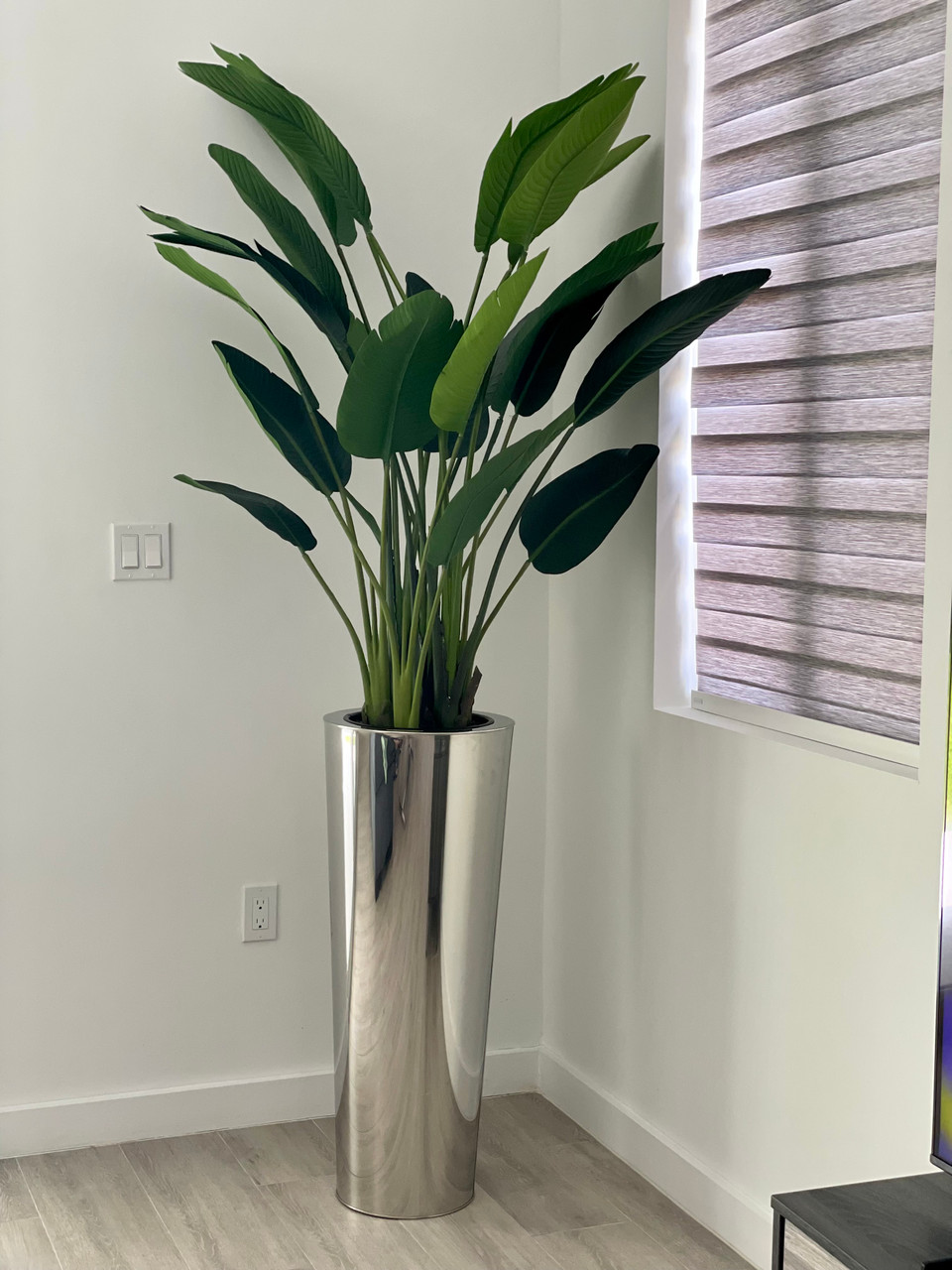 Stainless Cone Planter with Bird of Paradise (7′)