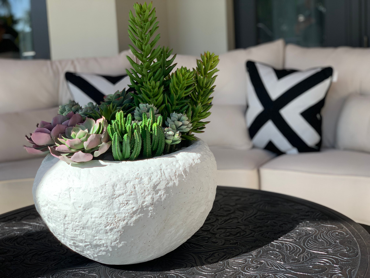 Tahiti bowl with mixed succulents
