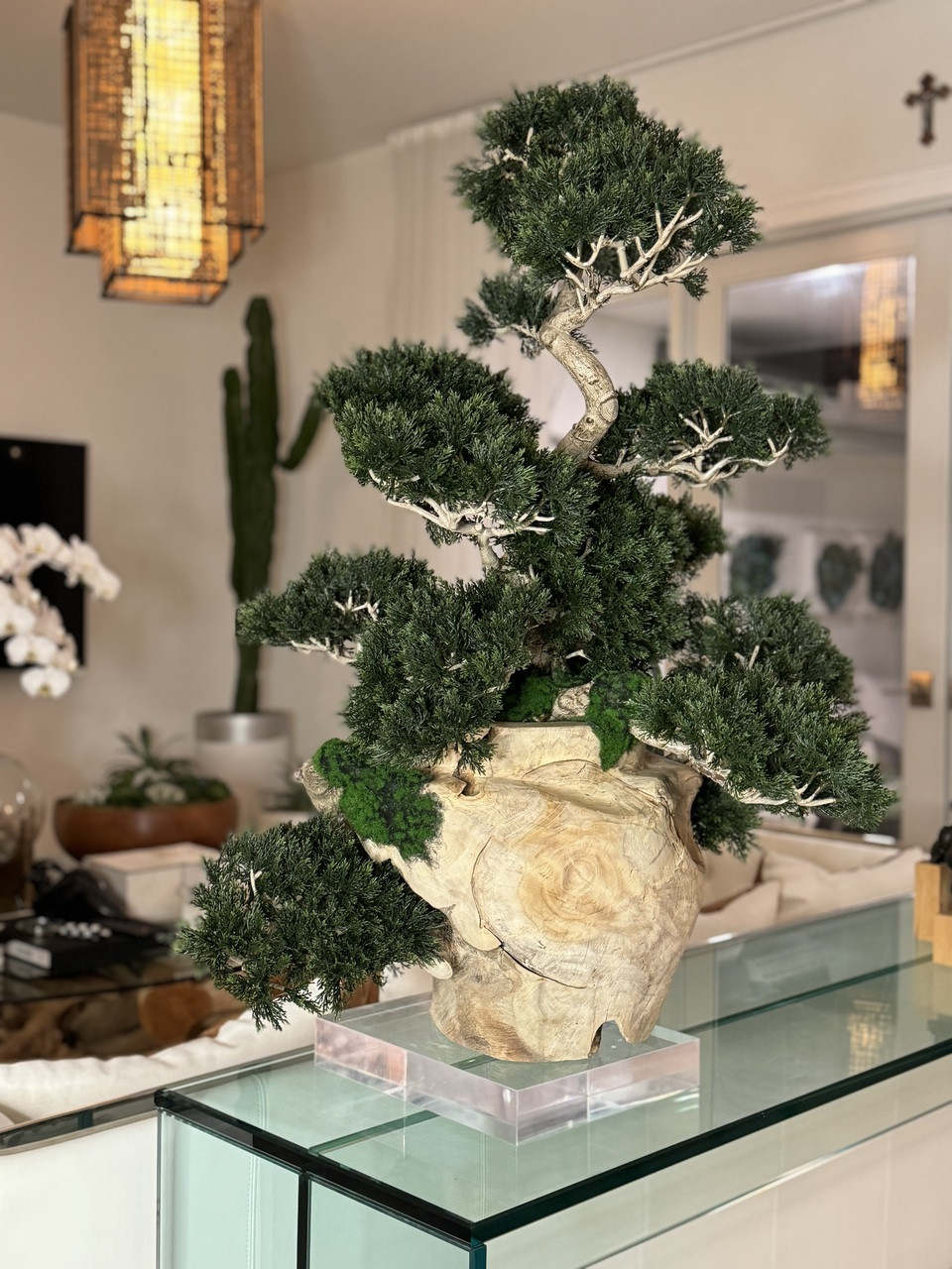 Teak Vase with Semi cascade Bonsai