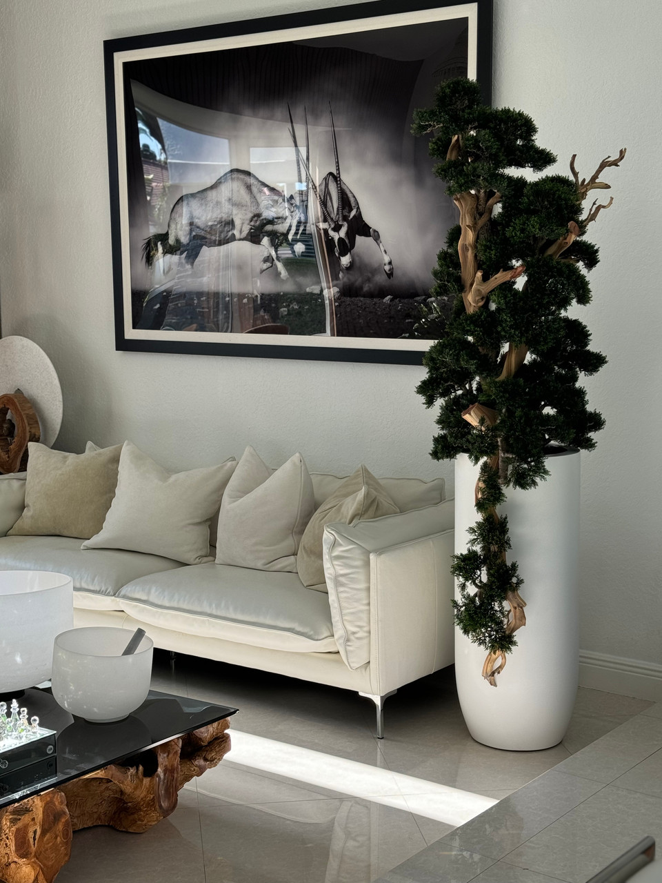 Artificial Bonsai Tree in White Saint Tropez Planter