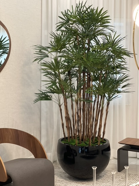 Artificial Lady Palm in Terragona Planter